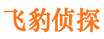 彭阳捉小三公司